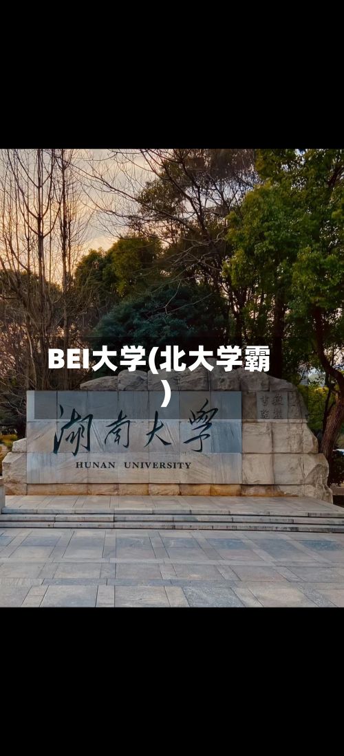 BEI大学(北大学霸)-第2张图片