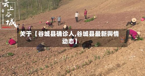 关于【谷城县确诊人,谷城县最新舆情动态】