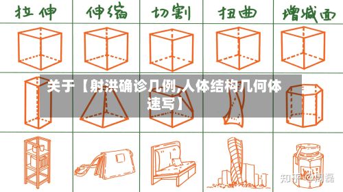 关于【射洪确诊几例,人体结构几何体速写】