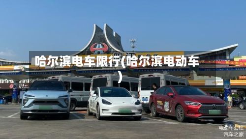 哈尔滨电车限行(哈尔滨电动车)-第2张图片
