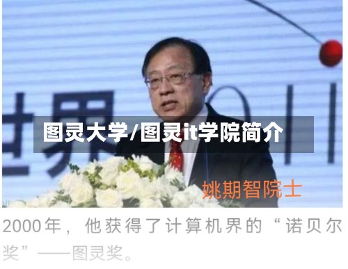 图灵大学/图灵it学院简介-第2张图片