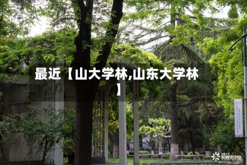 最近【山大学林,山东大学林】-第2张图片