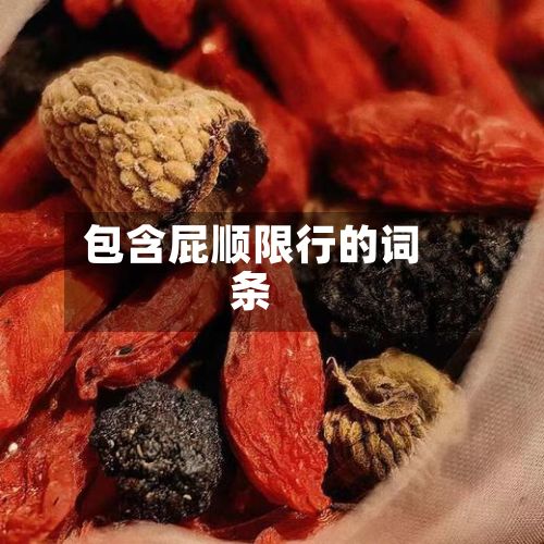 包含屁顺限行的词条