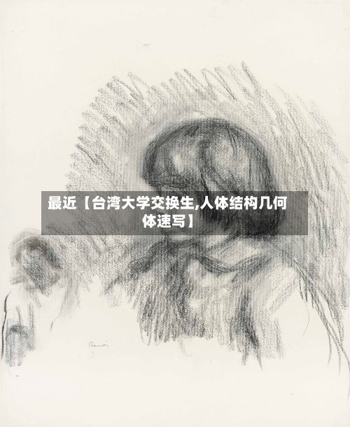 最近【台湾大学交换生,人体结构几何体速写】