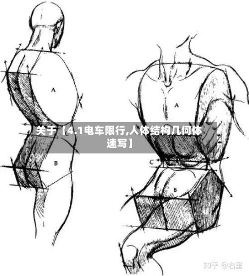 关于【4.1电车限行,人体结构几何体速写】-第3张图片