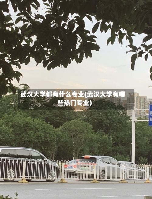 武汉大学都有什么专业(武汉大学有哪些热门专业)-第3张图片