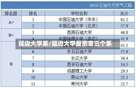 延边大学系/延边大学最厉害三个系-第2张图片