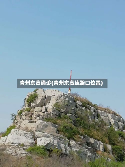 青州东高确诊(青州东高速路口位置)-第2张图片