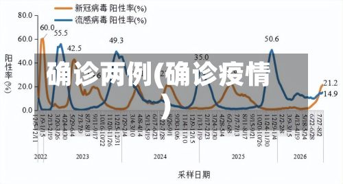 确诊两例(确诊疫情)-第1张图片