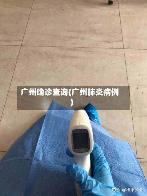 广州确诊查询(广州肺炎病例)-第2张图片