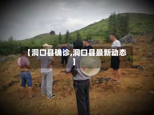 【洞口县确诊,洞口县最新动态】-第2张图片