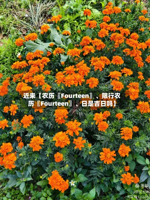 近来【农历〖Fourteen〗	、限行农历〖Fourteen〗、日是吉日吗】-第3张图片