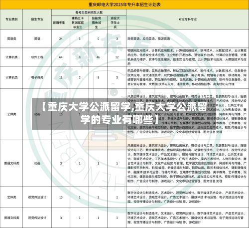 【重庆大学公派留学,重庆大学公派留学的专业有哪些】