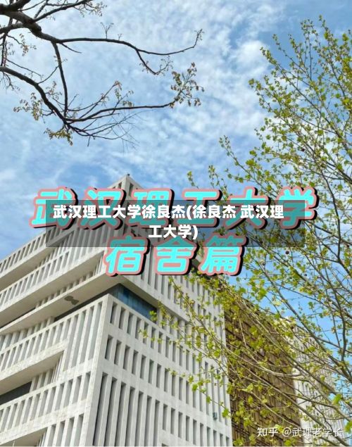 武汉理工大学徐良杰(徐良杰 武汉理工大学)-第2张图片