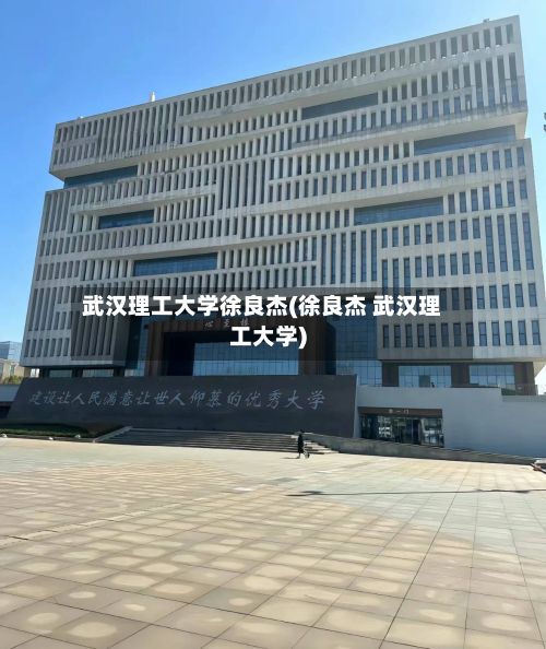 武汉理工大学徐良杰(徐良杰 武汉理工大学)